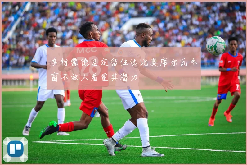 多特蒙德坚定留住法比奥席尔瓦冬窗不放人看重其潜力