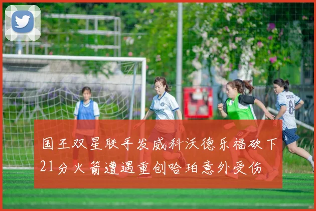 国王双星联手发威科沃德乐福砍下21分火箭遭遇重创哈珀意外受伤