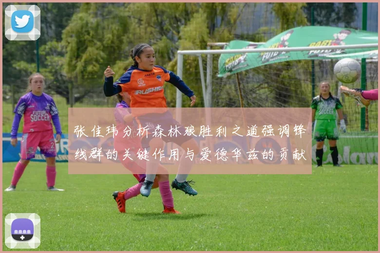 张佳玮分析森林狼胜利之道强调锋线群的关键作用与爱德华兹的贡献